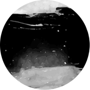 https://clearmind.lt/wp-content/uploads/2018/04/planet_02.png